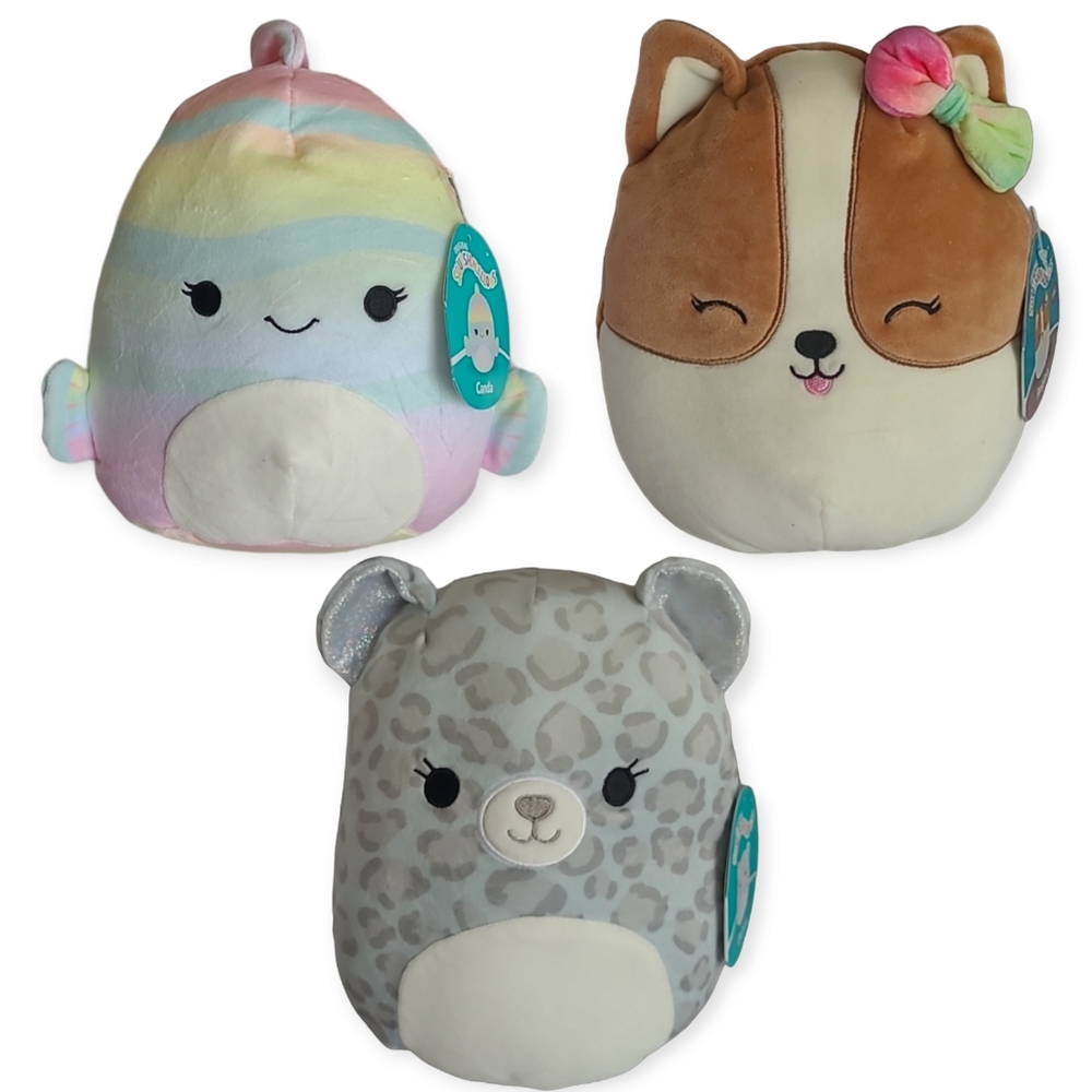 Squishmallows 8" Dohna Leopard 🐆 Canda Fish 🐠 Regina Corgi 🐶 Lot of 3 NEW!